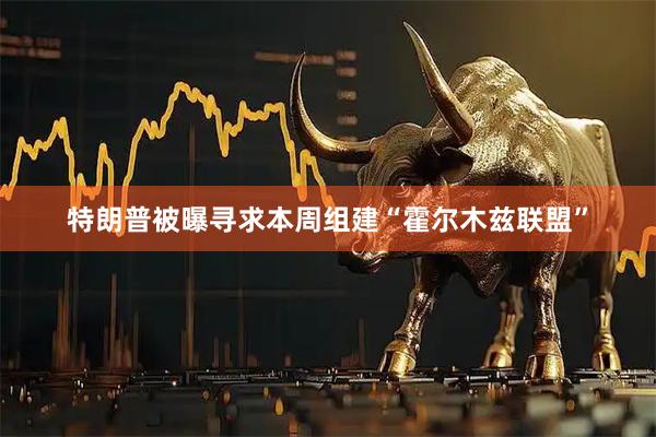 特朗普被曝寻求本周组建“霍尔木兹联盟”