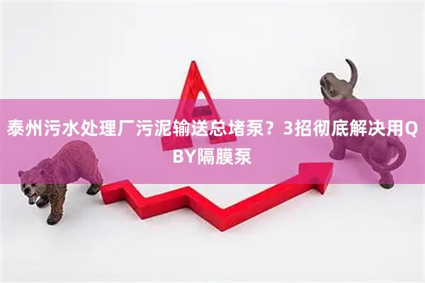 泰州污水处理厂污泥输送总堵泵？3招彻底解决用QBY隔膜泵