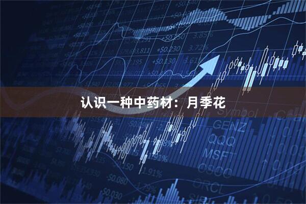 认识一种中药材：月季花