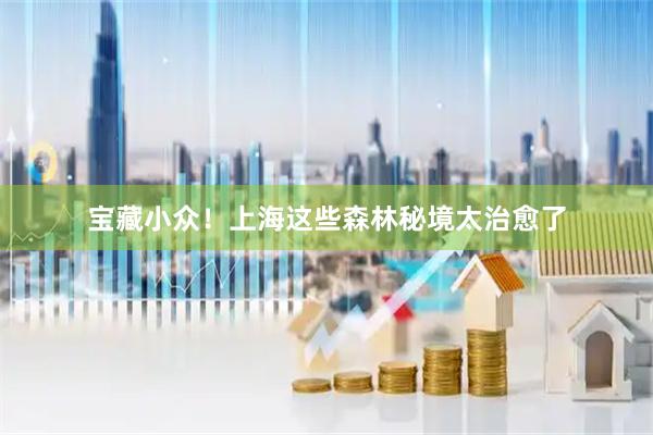 宝藏小众！上海这些森林秘境太治愈了