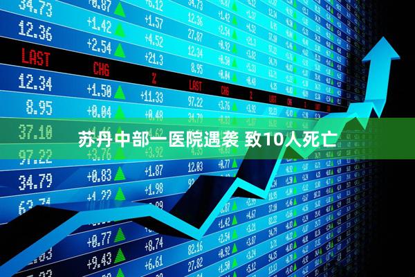 苏丹中部一医院遇袭 致10人死亡